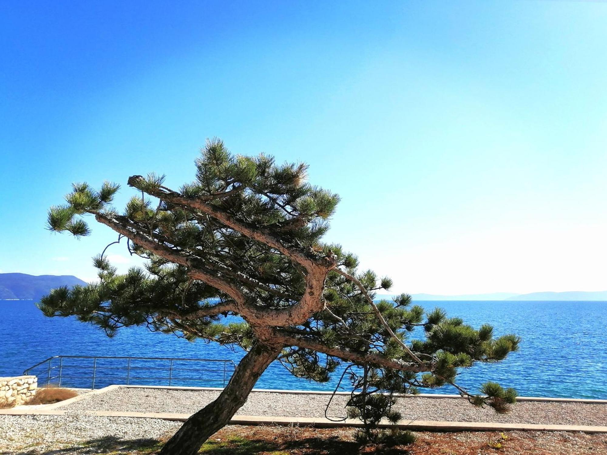 Apartment Lucille - Intermezzo in center of Rabac Esterno foto